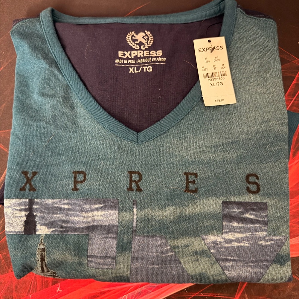 Express Men's Teal Vintage V-Neck T-Shirt